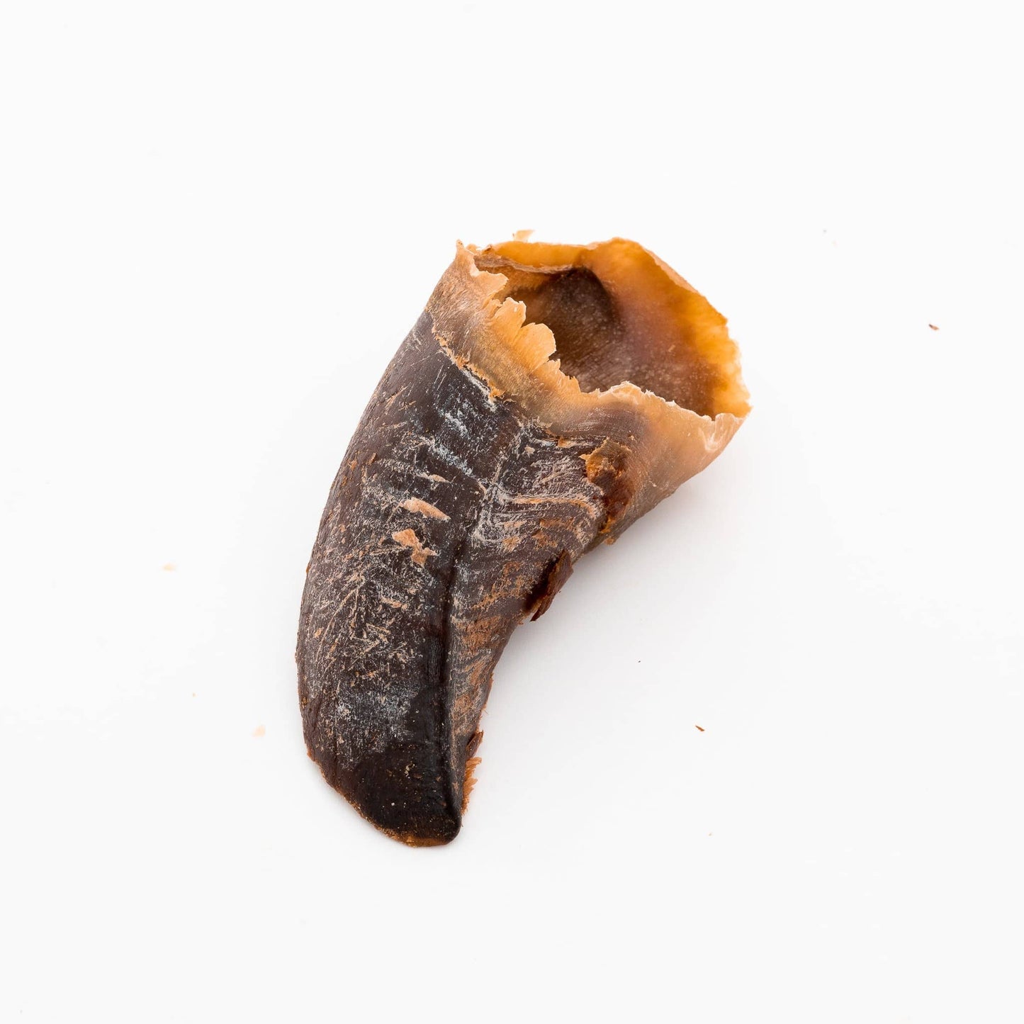 Beef Hooves Pack | Tasty, Long Lasting, Single Ingredient, All-Natural Dog Chews |