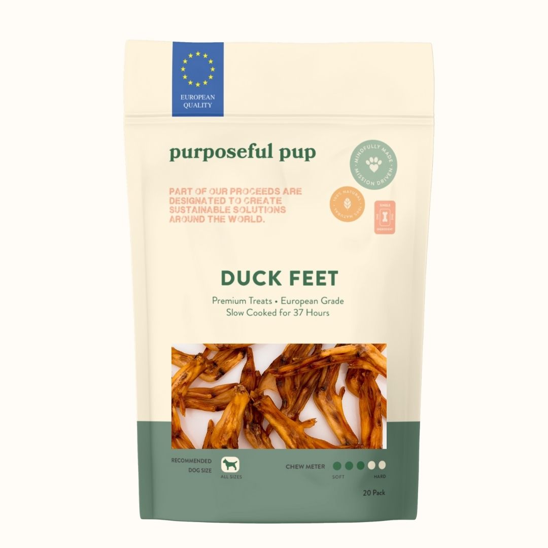 Duck Feet